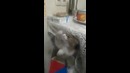 Любимое занятие кошки на кухне