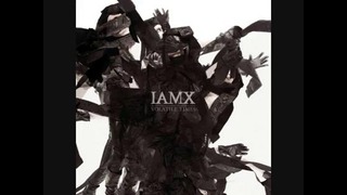 IAMX – Avalanches