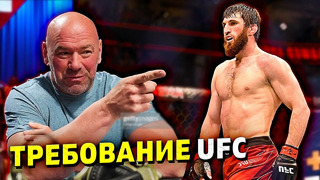 UFC требует!» Анкалаев выполнил требование UFC