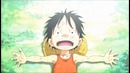 One Piece 「AMV」- Brotherhood