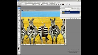 Photoshop CS3 Урок 2 – Растровая и векторная графика