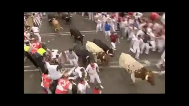 Испанский бег от быков кто кого