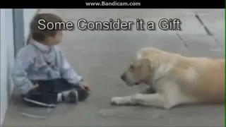 Ребенок и собака. Позитивное видео