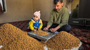 Shordanak – The Forgotten SNACK of Uzbek Cuisine! Authentic Recipe and Secret Preparation Revealed