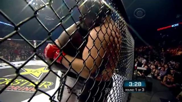 Федор Емельяненко против американца Бретта Роджерса