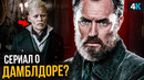 Гарри Поттер и сериал об Альбусе Дамблдоре? Разбор анонса