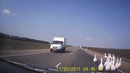 Дерзкий побег гусей
