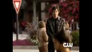 Damon – фан видео (Дневники вампира)