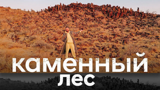 «Каменный лес» древний памятник природы в 1000 км от Ташкента
