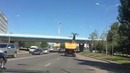 Олень в кузове забодал мост по вине оленя за рулем