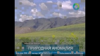 Аномальное явление в Узбекистане