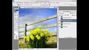 Уроки по Adobe Photoshop. От Евгения Попова Акварель в фотошоп
