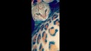 Travis Cat goosembumps