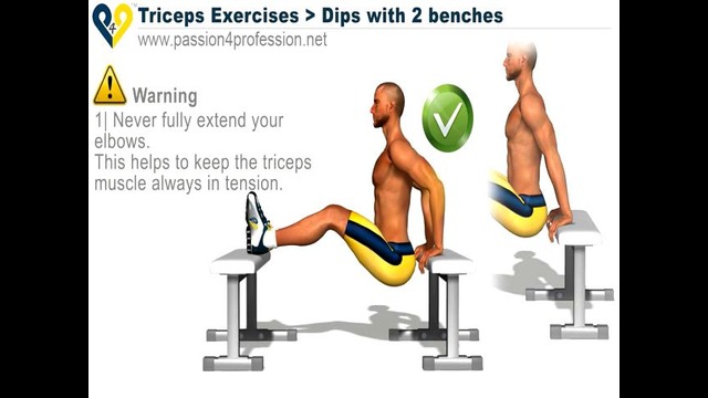 Dips with 2 benches – Triceps