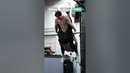 These Workouts Are Extreme