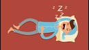 Как научиться рано просыпаться