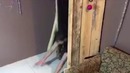 Ловушка квест. " А можно пожёстче?!")