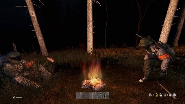 DayZ: Охота, отдых и флекс в лесу