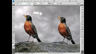 Adobe Photoshop Darslari 11-dars: Pen tool (ruchkali asbob)