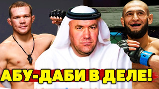 UFC в Абу-Даби! Петр Ян, Хамзат Чимаев, Волков, Махачев будут биться на UFC в октябре