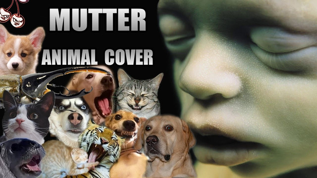 Rammstein – Mutter (Animal Cover)