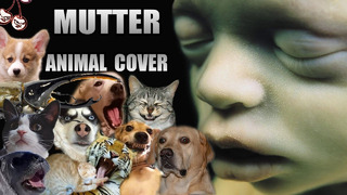 Rammstein – Mutter (Animal Cover)