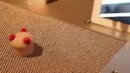 Настольная игра MoleBot