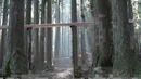 Touch Wood