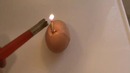 Как взорвать куриное яйцо при помощи спички