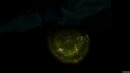 Survivors viy – истерика алекса! (21 )6