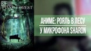Как озвучивается аниме Рояль в лесу / Piano no mori