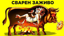 Худшие Наказания В Истории