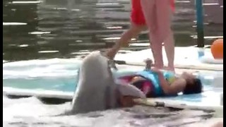 Любвиобильный дельфин
