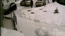 Куриные истории [мастерство парковки