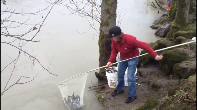 Как надо ловить рыбу
