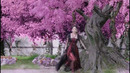 Fenix 12
