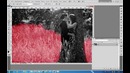 Adobe Photoshopda oq qora rasmni rangli qilish By Sierus Salohiddin