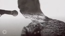 For Today – Bitter Roots (Official Music Video)