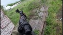 Штурмуем коровник. страйкбол. зона конфликта №3 // airsoft action