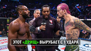 БОЙ АЛДЖАМЕЙН СТЕРЛИНГ VS ШОН О’МЭЛЛИ / UFC 292 Полный Разбор Техники