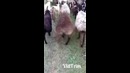 А я иду такая вся