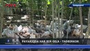 Payariqda har bir oila – tadbirkor