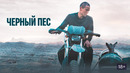 Чёрный пёс – ФИЛЬМ | 2024