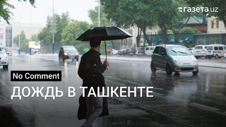 Дождливое майское утро в Ташкенте