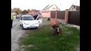 Дураки