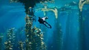 KING TIDE – Официальный тизер трейлер