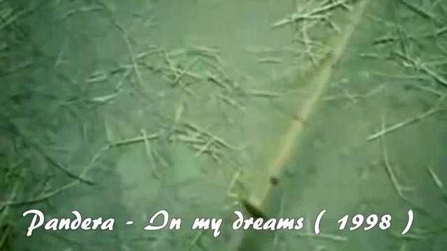 (Дискотека 90-х) Pandera – In my dreams