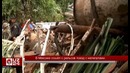 В Мексике сошёл с рельсов поезд с нелегалами
