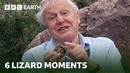 Unforgettable Lizard Moments | BBC Earth