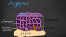 1-Дарс •КОЖА• строение эпидермиса кожи (часть 1)
